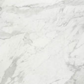 Milano Statuario Honed 32X32 | Tiles By Kia