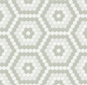 Morning Blend Matte Hexagon Pattern Mosaic | Tiles By Kia