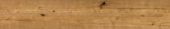 Oak Devonport | Tiles By Kia