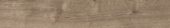 Oak Sevilla Taupe | Tiles By Kia