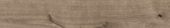 Oak Sevilla Taupe | Tiles By Kia