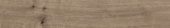 Oak Sevilla Taupe | Tiles By Kia