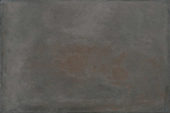 Palms Steel 16x24 | Tiles By Kia