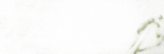 Polished Adoration 10.5X32 | Tiles By Kia