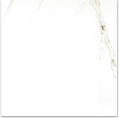 Polished Adoration 24X24 | Tiles By Kia