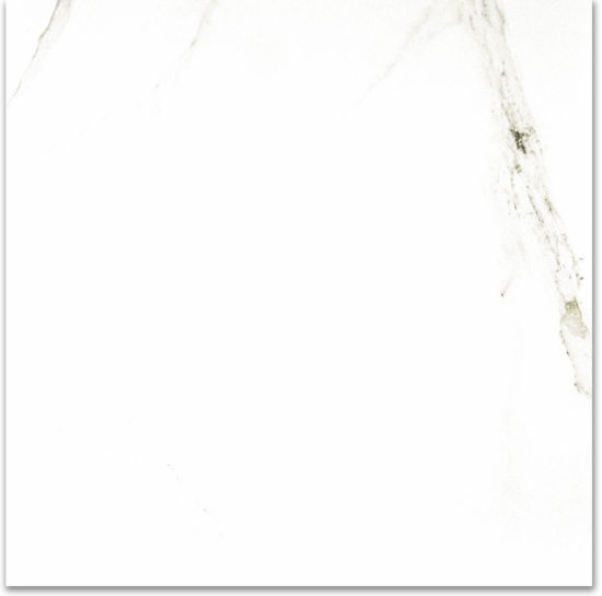 Polished Adoration 24X24 | Tiles By Kia