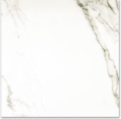 Polished Adoration 24X24 | Tiles By Kia