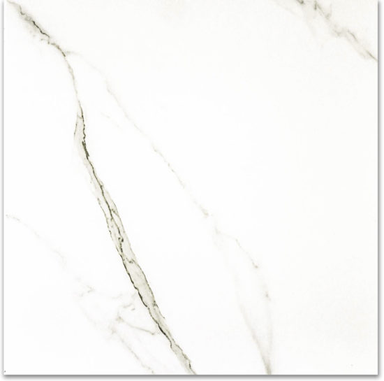 Polished Adoration 24X24 | Tiles By Kia