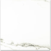 Polished Adoration 24X24 | Tiles By Kia