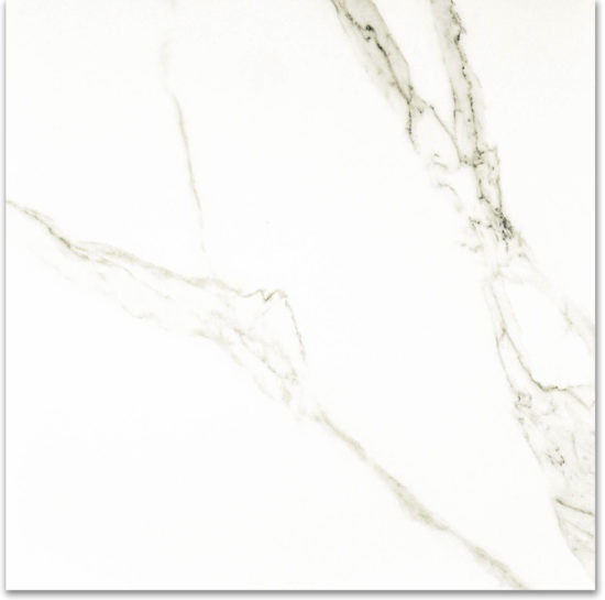 Polished Adoration 24X24 | Tiles By Kia
