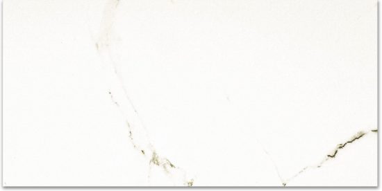 Polished Adoration 24X48 | Tiles By Kia