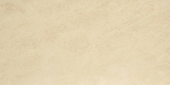 Polished Affection 12X24 | Tiles By Kia