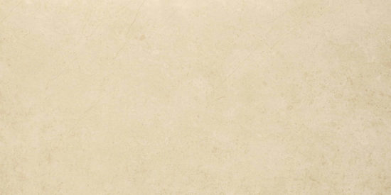 Polished Affection 16X32 | Tiles By Kia