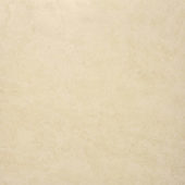 Polished Affection 24X24 | Tiles By Kia