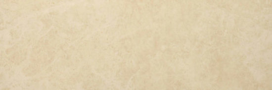 Polished Affection 4X12 | Tiles By Kia