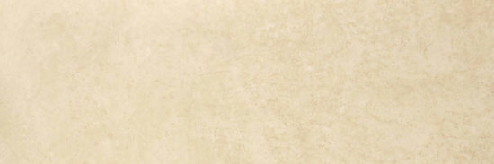 Polished Affection 4X12 | Tiles By Kia