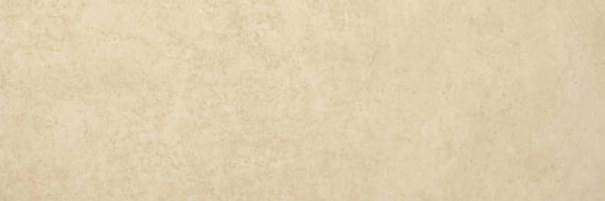 Polished Affection 4X12 | Tiles By Kia