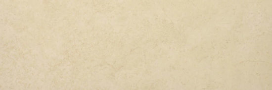 Polished Affection 4X12 | Tiles By Kia