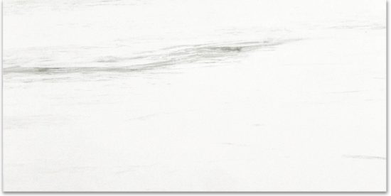 Polished Devotion 12X24 | Tiles By Kia