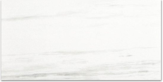 Polished Devotion 12X24 | Tiles By Kia
