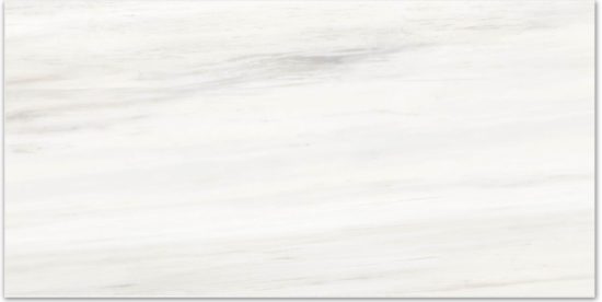 Polished Devotion 16X32 | Tiles By Kia