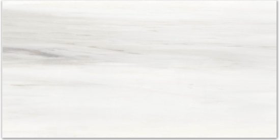 Polished Devotion 16X32 | Tiles By Kia