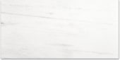 Polished Devotion 24X48 | Tiles By Kia