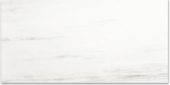 Polished Devotion 24X48 | Tiles By Kia