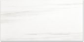Polished Devotion 24X48 | Tiles By Kia
