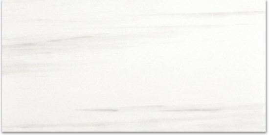 Polished Devotion 24X48 | Tiles By Kia
