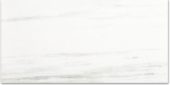 Polished Devotion 24X48 | Tiles By Kia