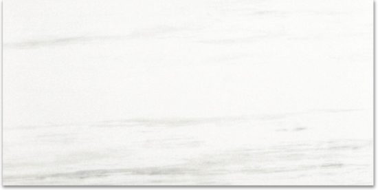 Polished Devotion 24X48 | Tiles By Kia