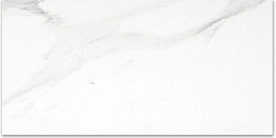 Polished Infatuation 12X24 | Tiles By Kia