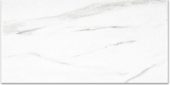 Polished Infatuation 12X24 | Tiles By Kia