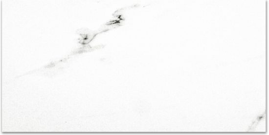 Polished Infatuation 16X32 | Tiles By Kia