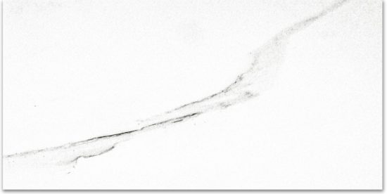 Polished Infatuation 16X32 | Tiles By Kia