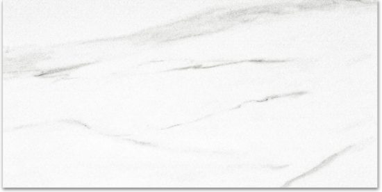 Polished Infatuation 16X32 | Tiles By Kia