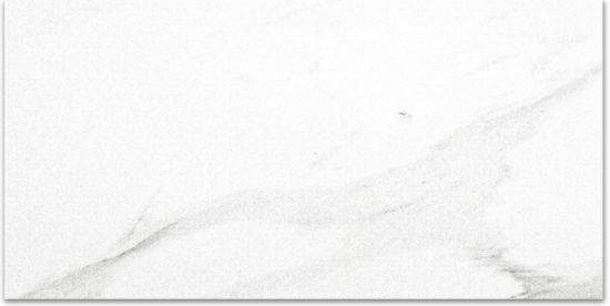 Polished Infatuation 16X32 | Tiles By Kia