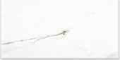 Polished Infatuation 16X32 | Tiles By Kia