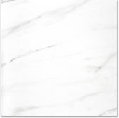 Polished Infatuation 24X24 | Tiles By Kia