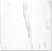 Polished Infatuation 24X24 | Tiles By Kia
