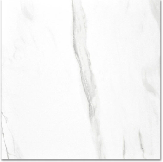 Polished Infatuation 24X24 | Tiles By Kia