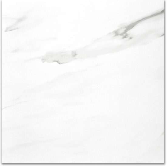 Polished Infatuation 24X24 | Tiles By Kia