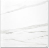 Polished Infatuation 24X24 | Tiles By Kia
