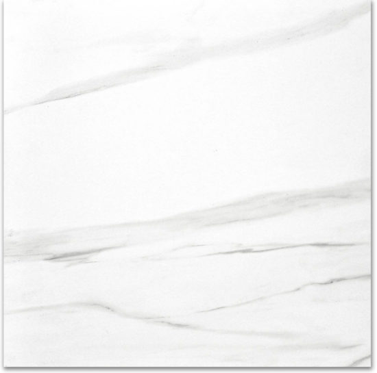 Polished Infatuation 24X24 | Tiles By Kia