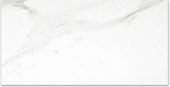 Polished Infatuation 24X48 | Tiles By Kia
