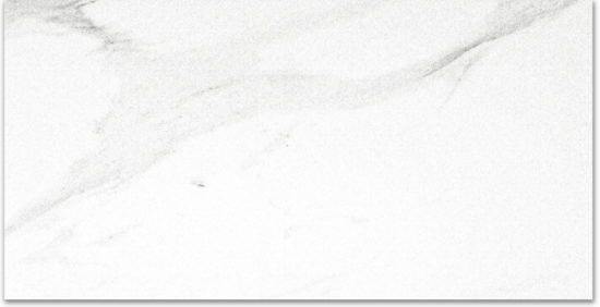 Polished Infatuation 24X48 | Tiles By Kia