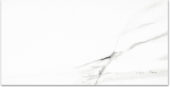 Polished Infatuation 24X48 | Tiles By Kia