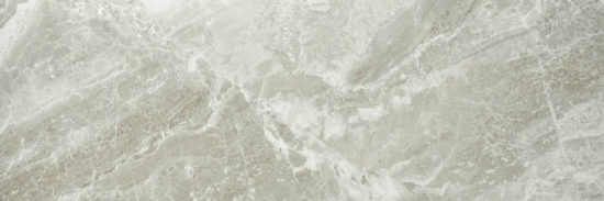 Polished Inspiration 4X12 | Tiles By Kia