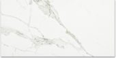 Polished Love 12X24 | Tiles By Kia